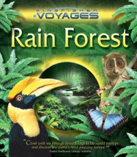 Image of Rainforest