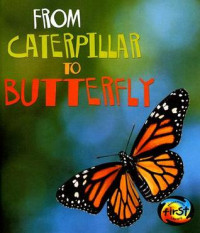 Image of From caterpillar to butterfly