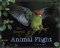 Image of The secrets of animal flight
