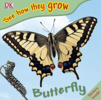 Image of Butterfly