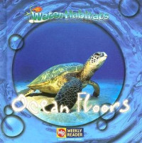 Image of Ocean floors