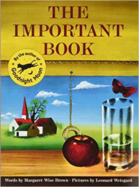 Image of The important book