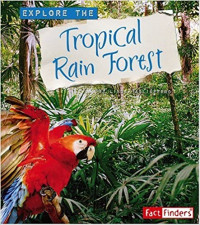 Image of Explore the tropical rain forest