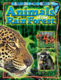Image of Animals of the rain forest