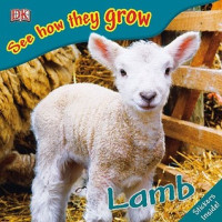 Image of Lamb