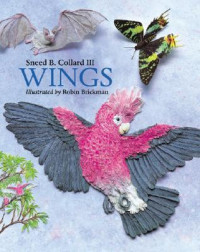 Image of Wings