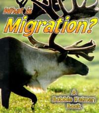 Image of What is migration?