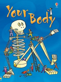 Image of Your body
