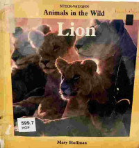 Image of Lion