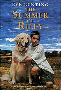 Image of The summer of Riley