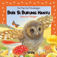 Image of Bobi si burung hantu