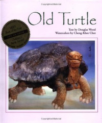 Image of Old turtle