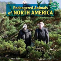 Image of Endangered animals of North America