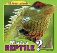 Image of What's a reptile?