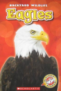 Image of Eagles