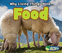 Image of Food