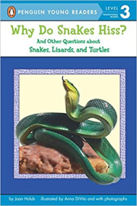 Image of Why do snakes hiss? : and other questions about snakes, lizards, and turtles