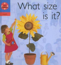 Image of What size is it?