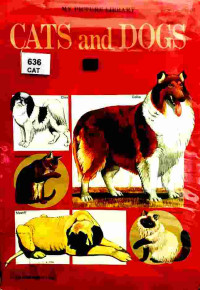 Image of Cats and dogs