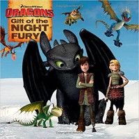 Image of Gift of the night fury