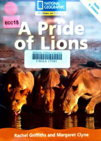 Image of A pride of lions