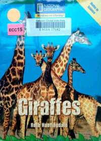 Image of Giraffes