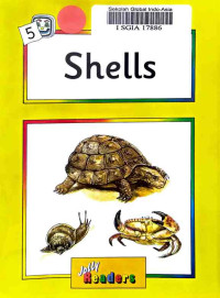 Image of Shells