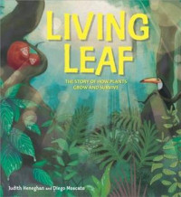 Image of Living leaf : the story of how plants grow and survive