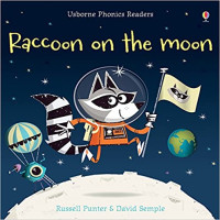 Image of Raccoon on the moon