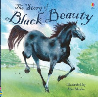 Image of The story of black beauty