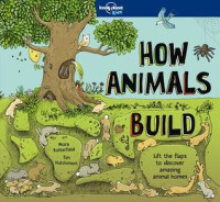 Image of How animals build : lift the flaps to discover amazing animal homes