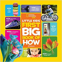 Image of Little kids first big book of how