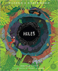 Image of Holes : discover a hidden world