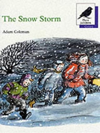 Image of The snow storm