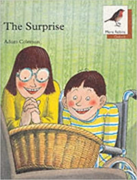 Image of The surprise