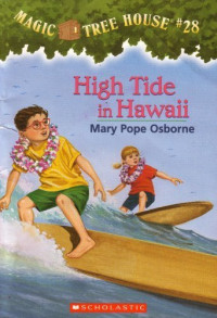 Image of High tide in Hawaii