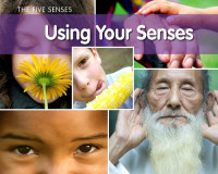 Image of The Five Senses: Using Your Senses