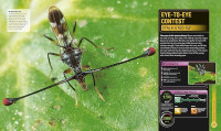 Image of Super Bug Encyclopedia: The Biggest, Fastest, Deadliest Creepy-Crawlers on the Planet