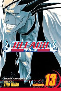 Image of Bleach, Vol. 13