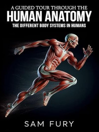Image of A Guided Tour Through the Human Anatomy: The Different Body Systems In Humans