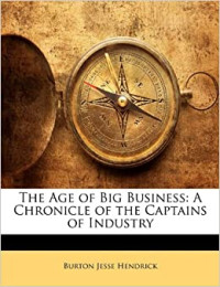 Image of The age of big business: a chronicle of the captains of industry