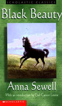 Image of Black beauty